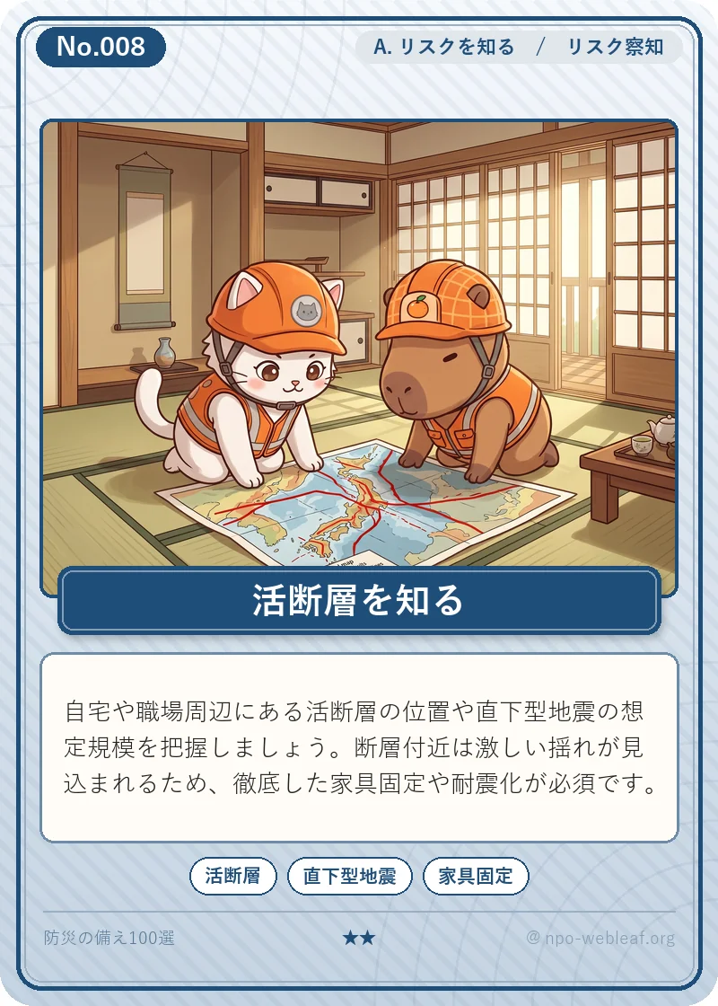 活断層と震源域の基礎知識のイラスト