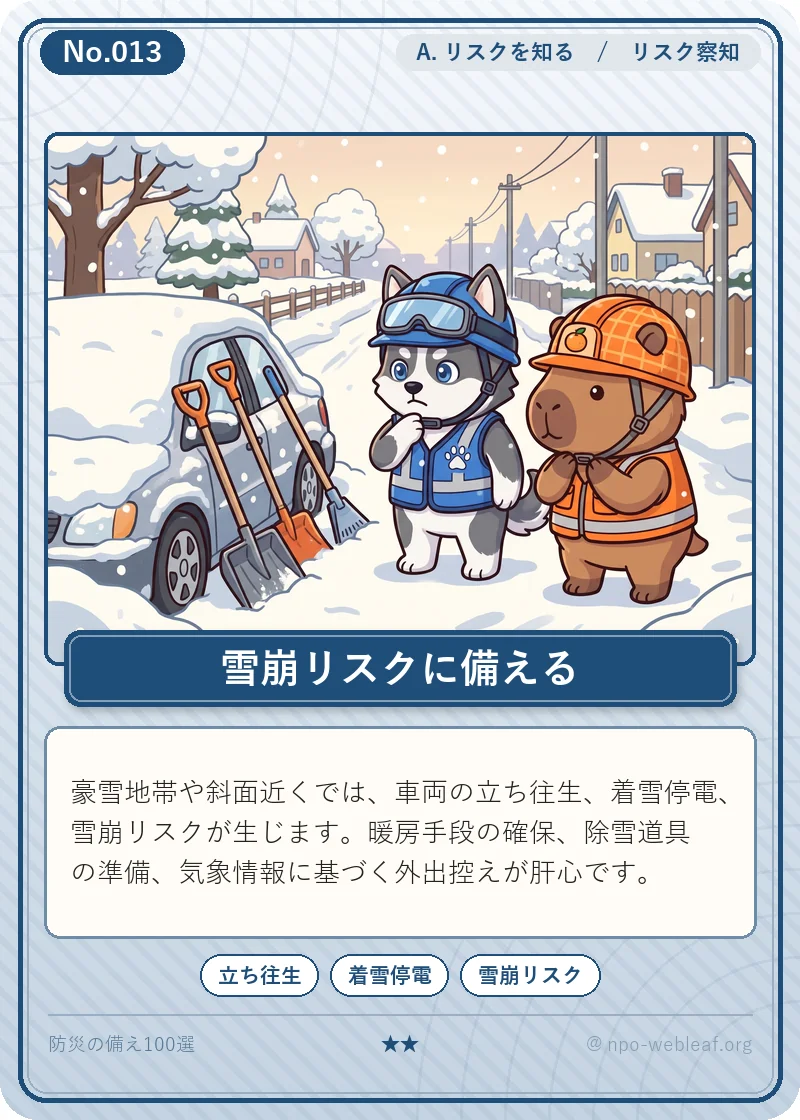 大雪・雪崩リスク（該当地域）のイラスト